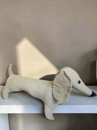 Scout — Remnant Dachshund