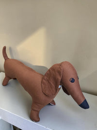 Scout — Remnant Dachshund